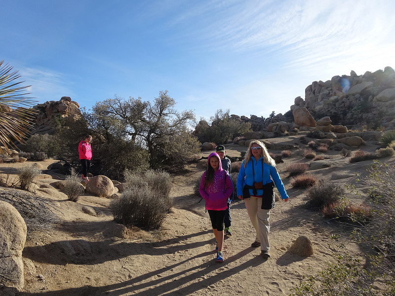 Palm Desert-Joshua Tree (11)