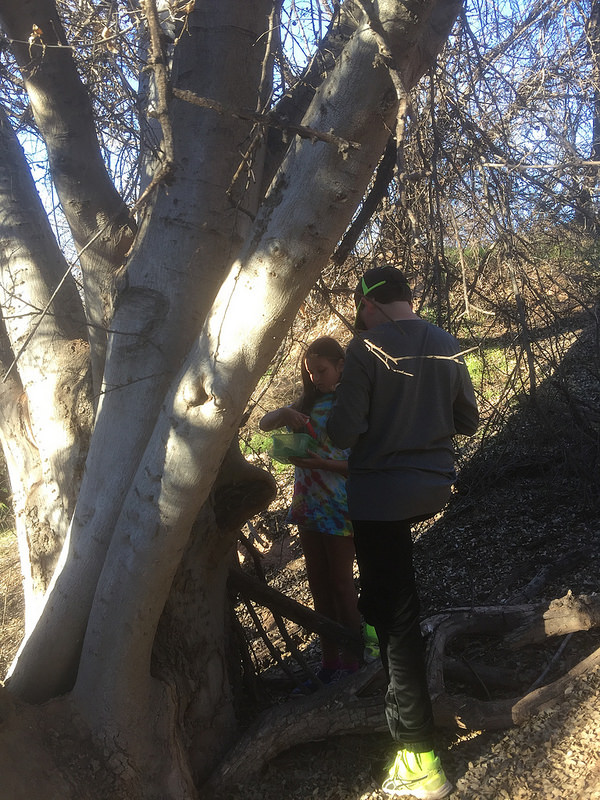 Dead Horse Ranch-Geocache