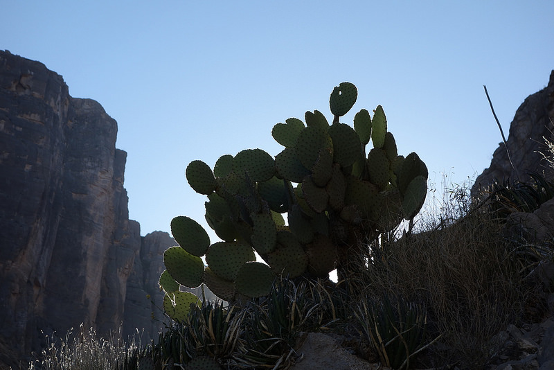 Big Bend (6)