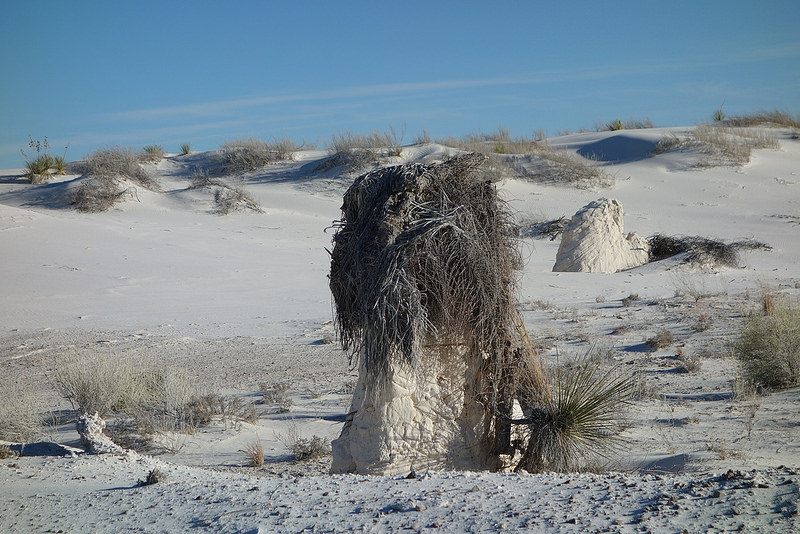 White Sands-Sand Troll