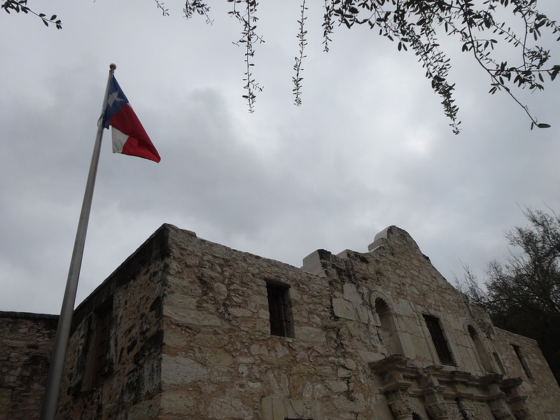 Alamo (3)