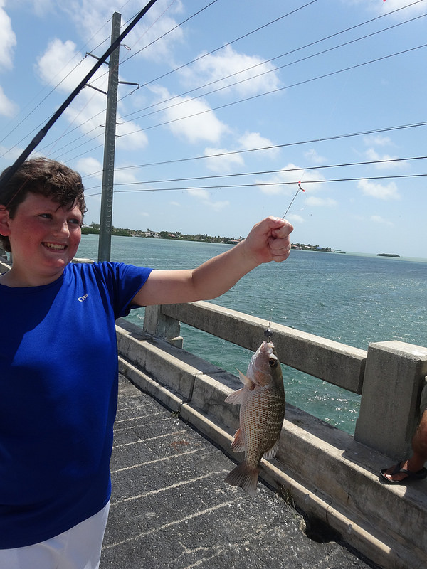 Keys-M3 and Mangrove Snapper Keys-M3 and Mangrove Snapper