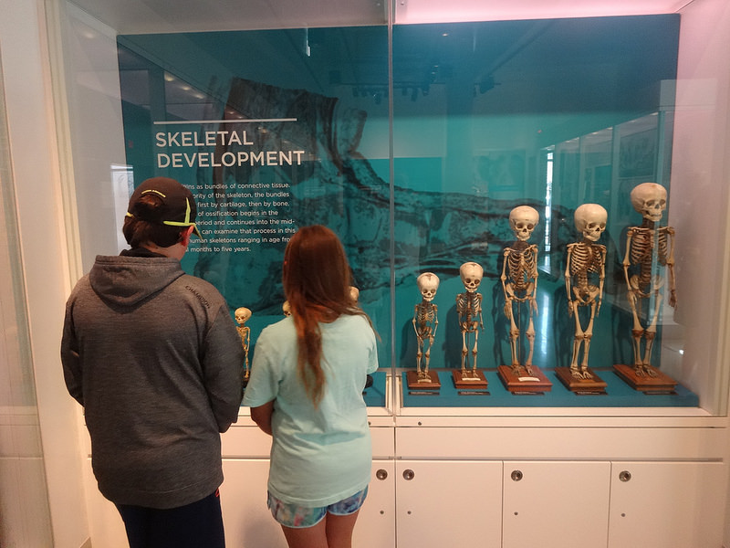 DC-Medical History Museum