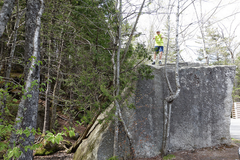 Acadia-Beech Mtn Trail