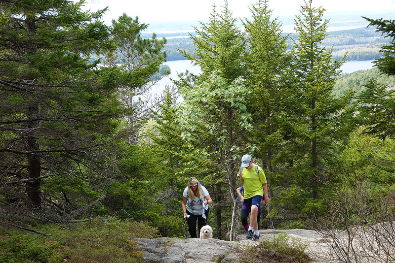 Acadia-Beech Mtn Trail (2)