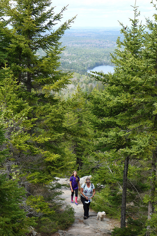 Acadia-Beech Mtn Trail (3)