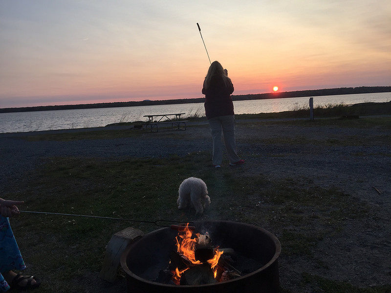 Bar Harbor-KOA Hot Dog Warrior