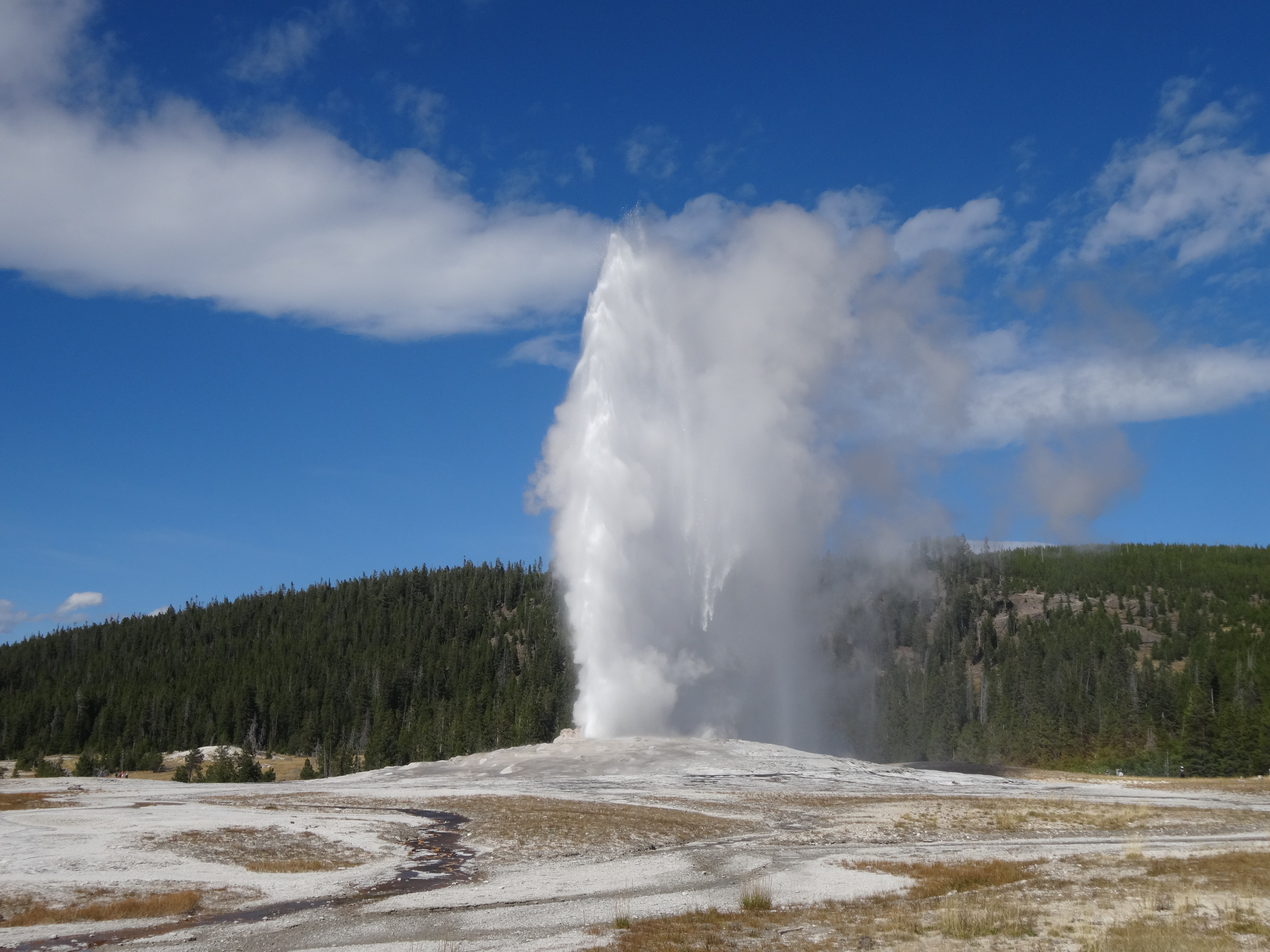 The Wonder of Yellowstone