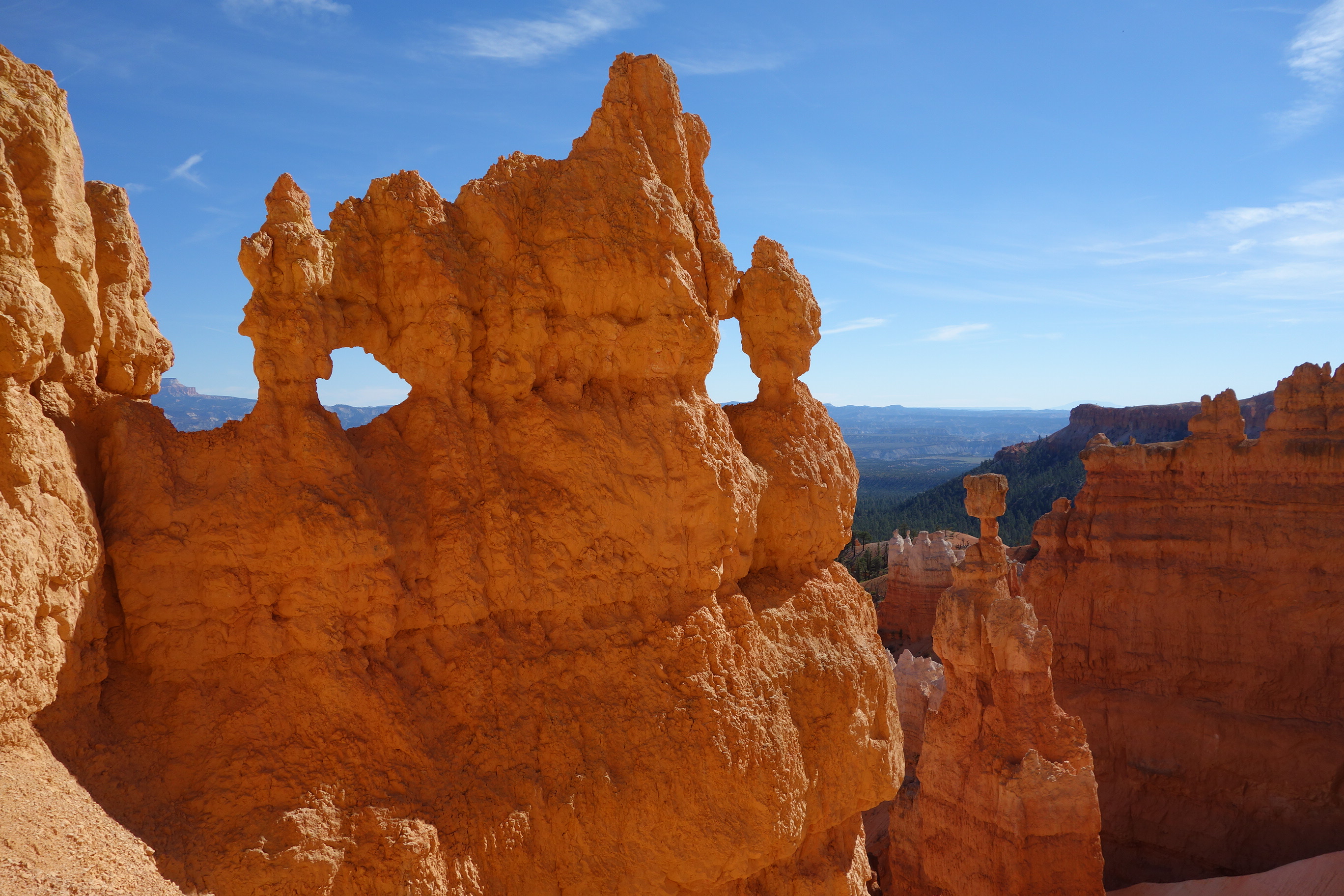 Hoodoo Hikers