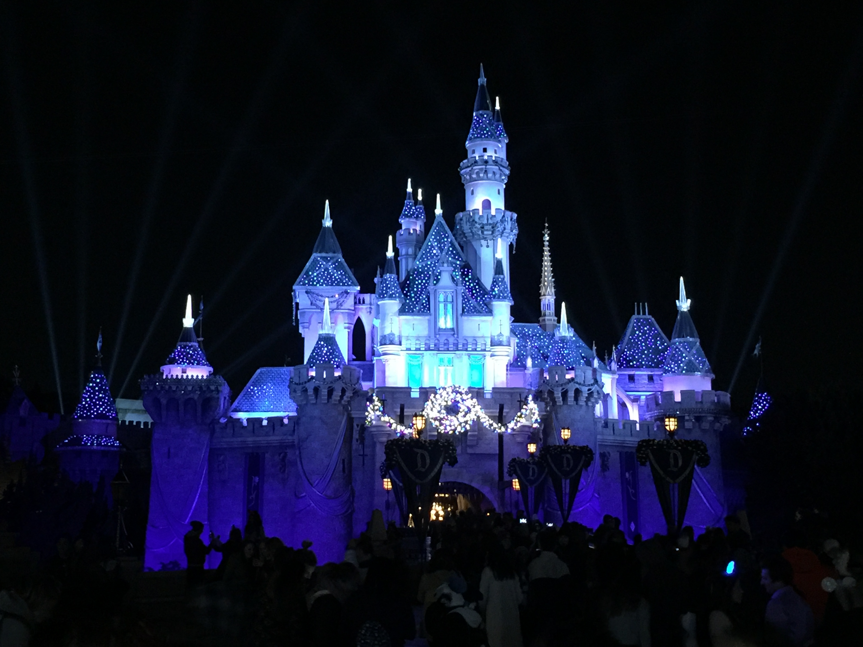 The Mouse House