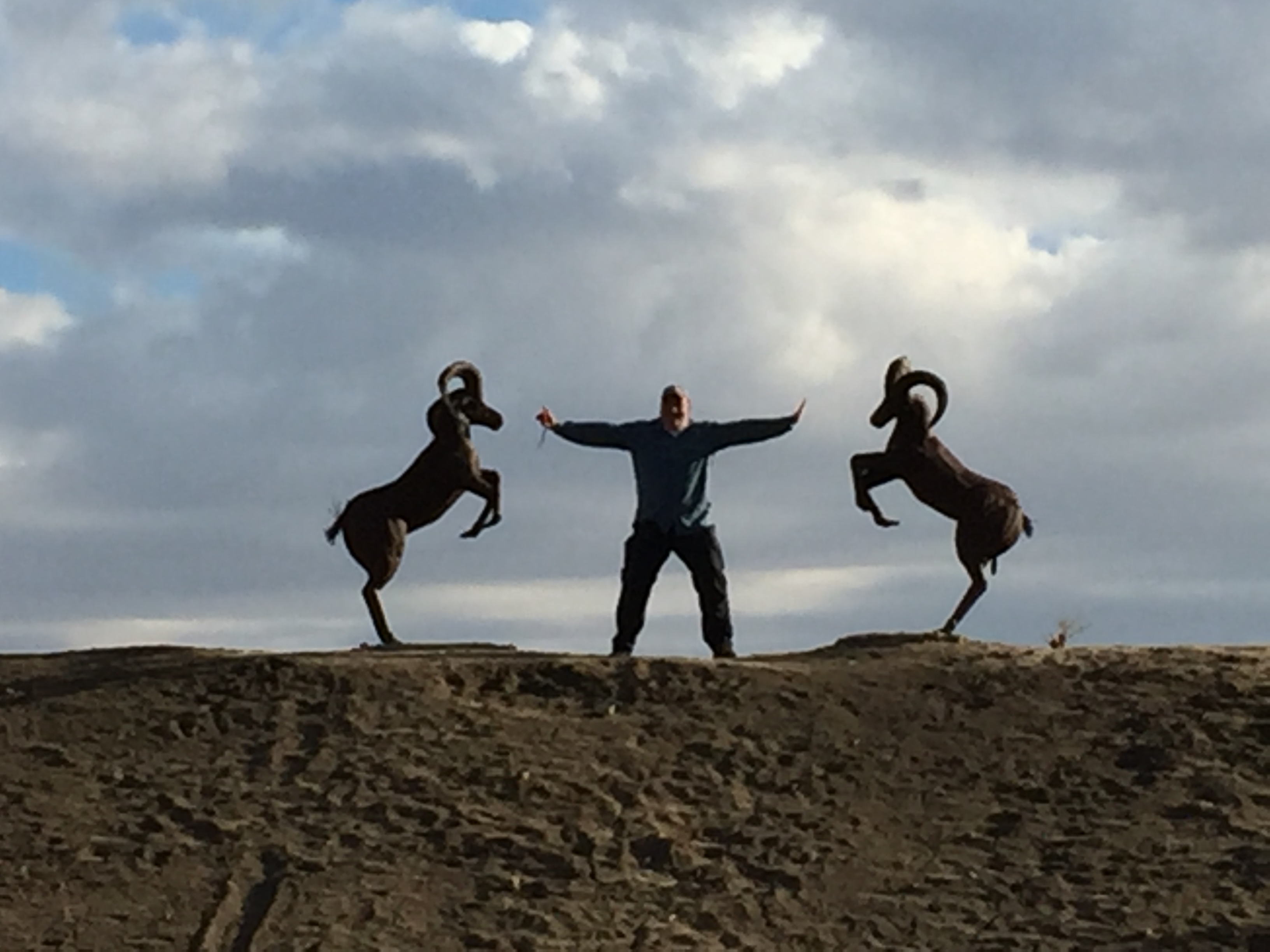 The Didactic Desert