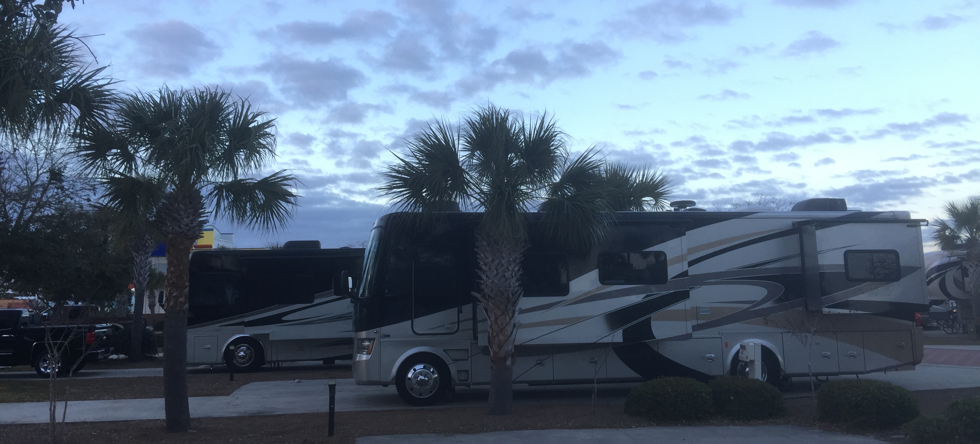 Galloping Around the Gulf